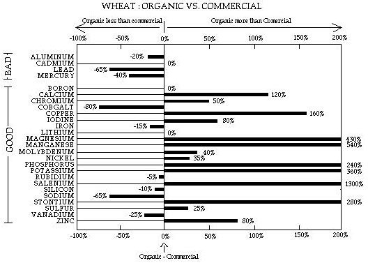 Wheat: Organic vs. Commercial