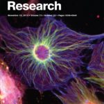 Cancer Research Journal