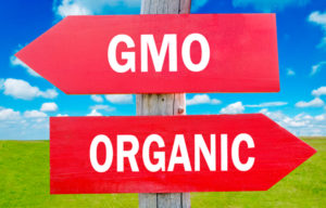 28219887 GMO vs. Organic