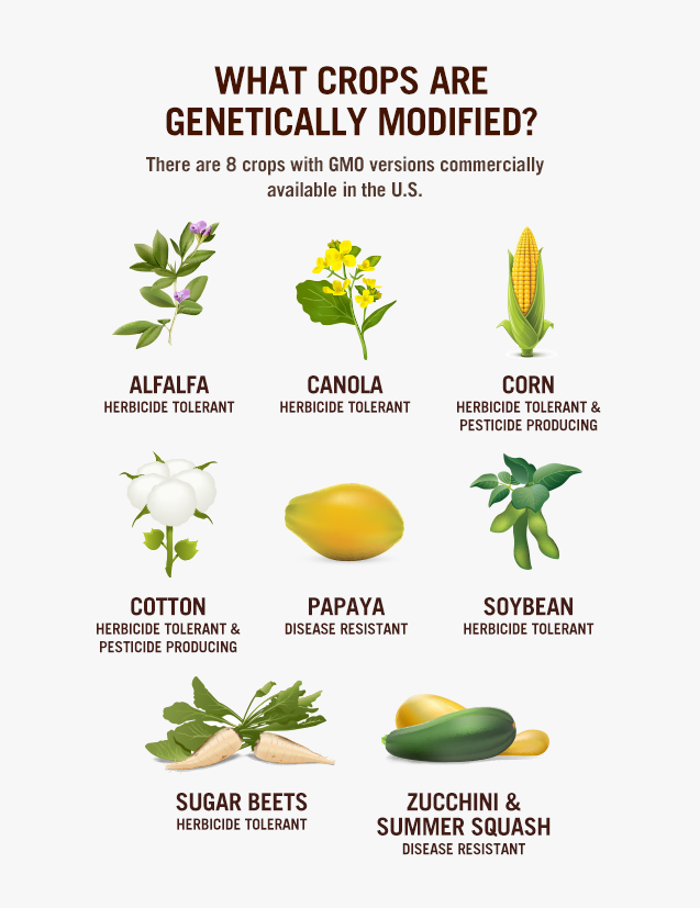 GMO crops chart RawFoodLife, LLC