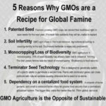 GMO’s are a recipe for disaster