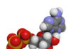 36966274 - adenosine triphosphate (atp)