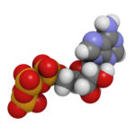 36966274 – adenosine triphosphate (atp)