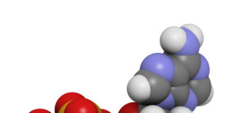 36966274 - adenosine triphosphate (atp)