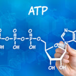 59198302 -chemical formula of ATP