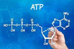 59198302 -chemical formula of ATP