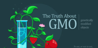 Truth About GMO Fruits