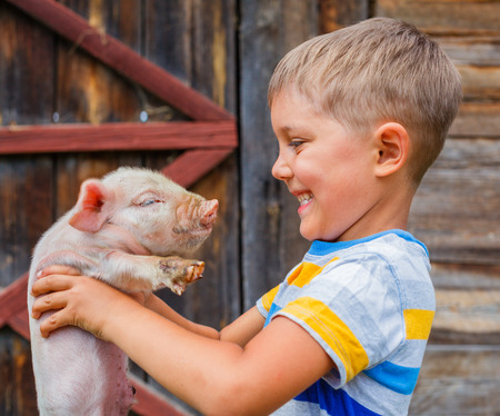 39483401 - boy with piglet