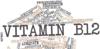 15997009 - word cloud for vitamin b12