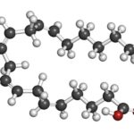 18805868 arachidonic acid