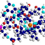 Vitamin B12 Molecule