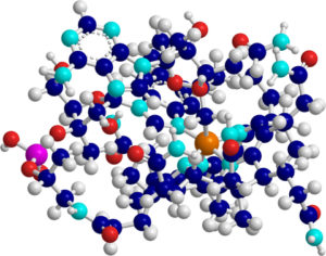 Vitamin B-12 Molecule