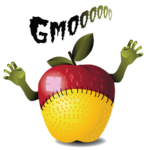 GMO Apple