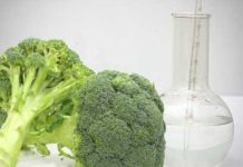 Cruciferous vegetables