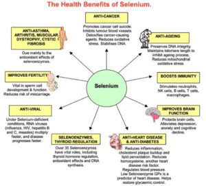 Health Benefits of Selenium