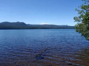 klamath lake, blue green algae