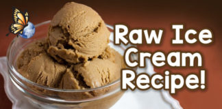 Matt Monarch's Raw Ice Cream