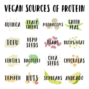 top vegan sources of protein