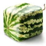 10298897 – cubic watermelon