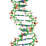 DNA Animated