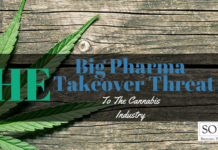 Big Pharma Header