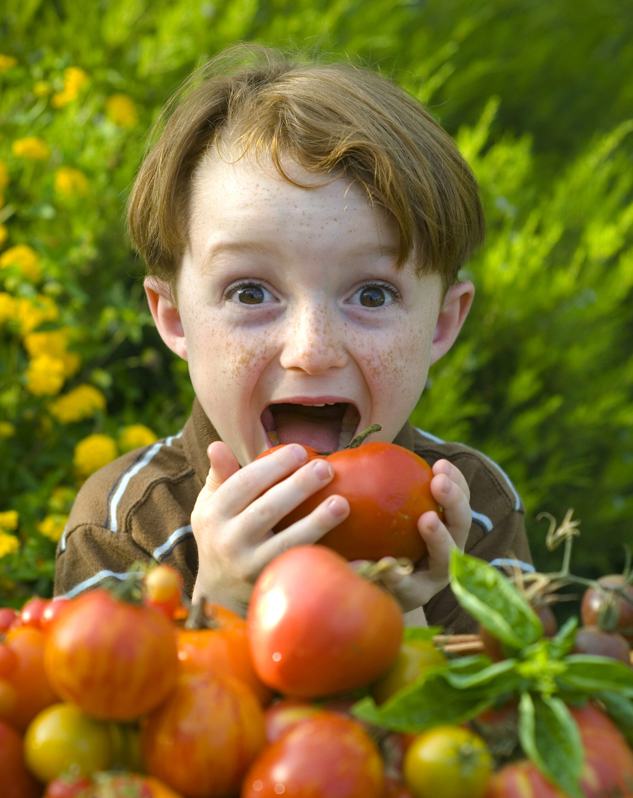 Почему люди овощи. Овощи для детей. Овощи и фрукты для детей. Немытые овощи и фрукты ребенок. Фрукты для детей.